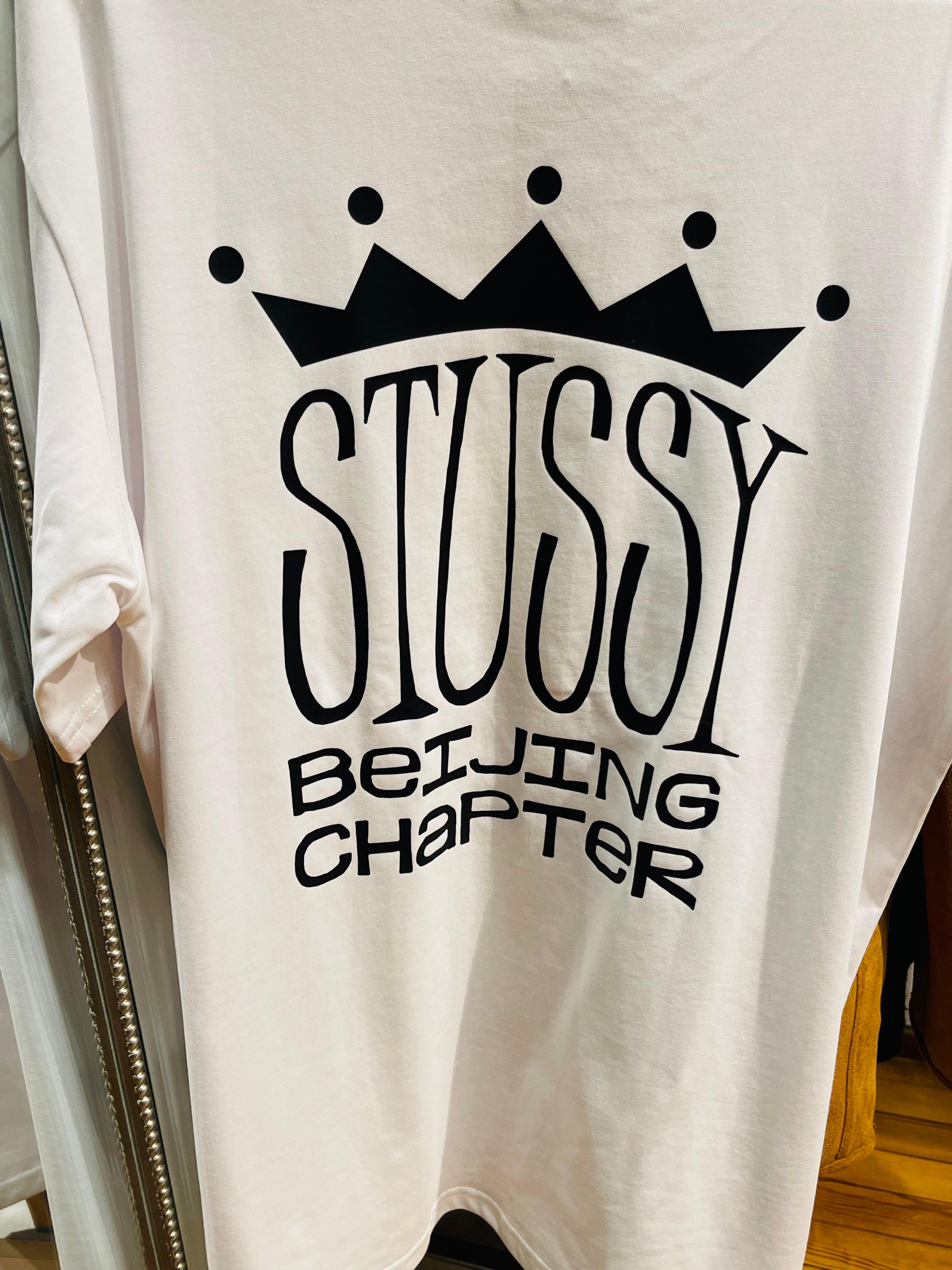 Remera Stussy
